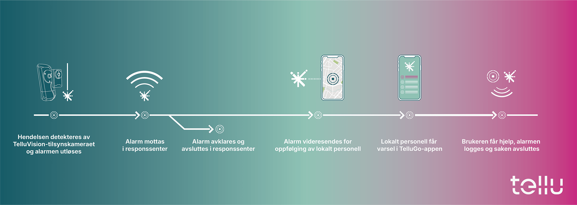 TelluVision workflow TelluVision workflow